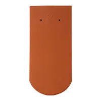 bobr.png