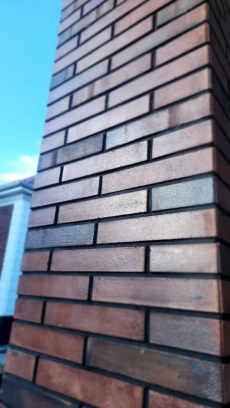 Плитка облицовочная под клинкер Lifebrick, Riemchen 370, 280x50x15, изобр. 2