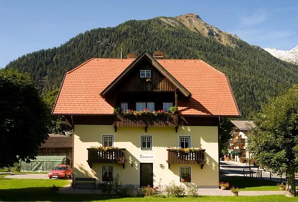 Керамическая черепица Tondach Biberfalz, Натуральный красный, изобр. 3