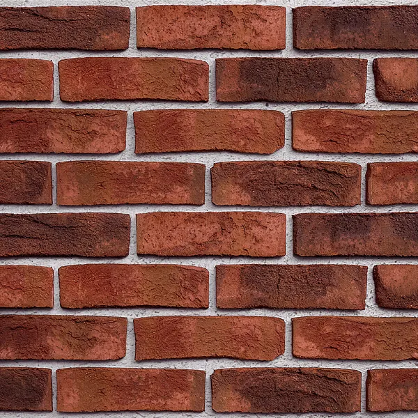 Облицовочный кирпич FORMBACK Графитово-пестрый (graphit-bunt) ручн.форм. (handform), 240x115x71 мм, Röben, изобр. 1